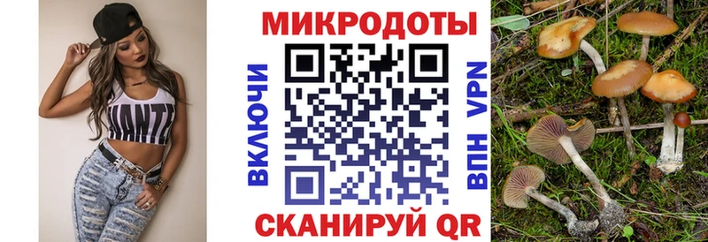 Галлюциногенные грибы ЛСД где можно купить Липки